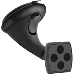 Turētāji, paliktņi