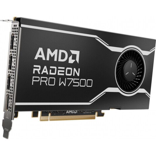 Carte graphique AMD Radeon Pro W7500 8GB (100-300000078)
