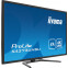 Monitors IIYAMA X4373UHSU-B1 43" (X4373UHSU-B1) - foto 2