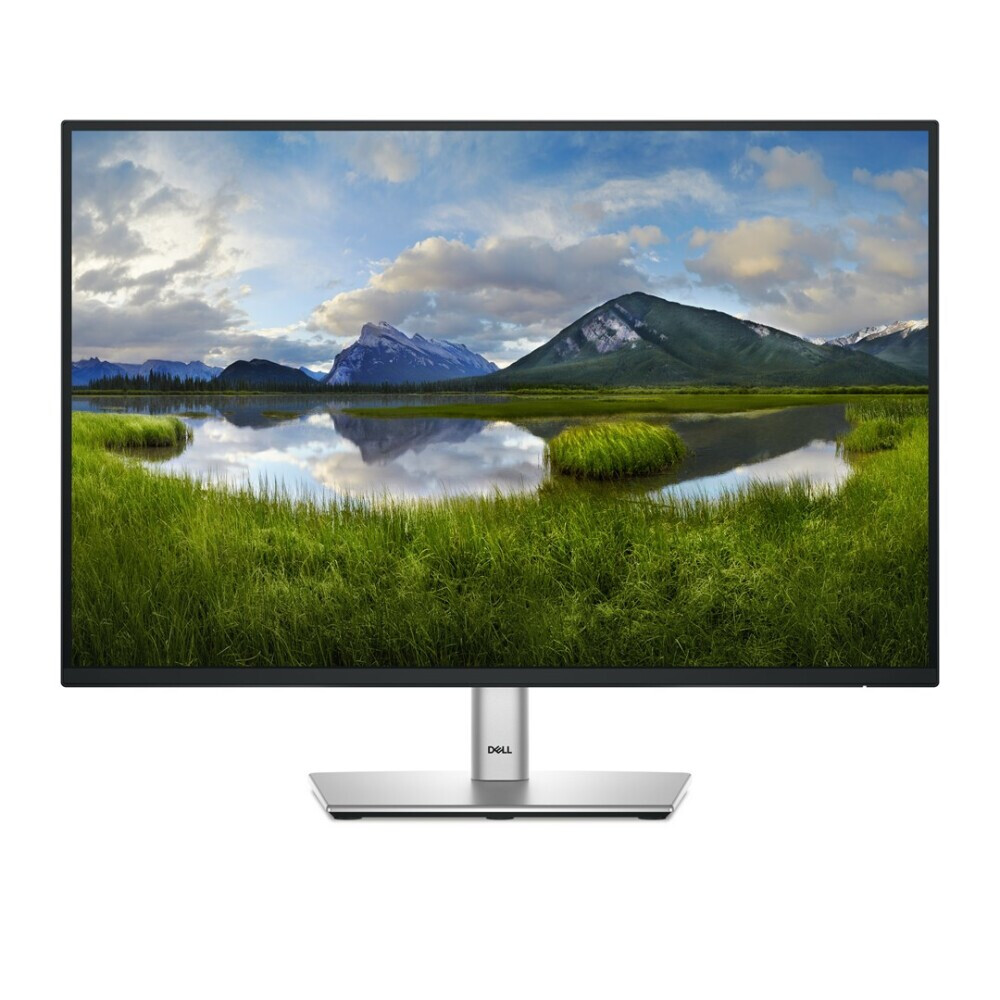 Monitors DELL P Series P2425 24.1" (210-BMJD)