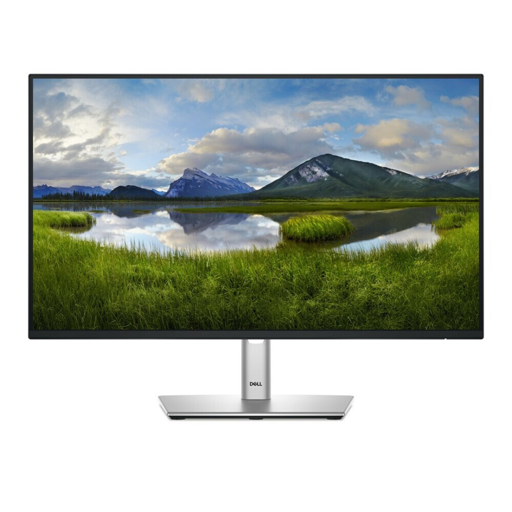 Monitors DELL P Series P2425H 24" (210-BMFF)