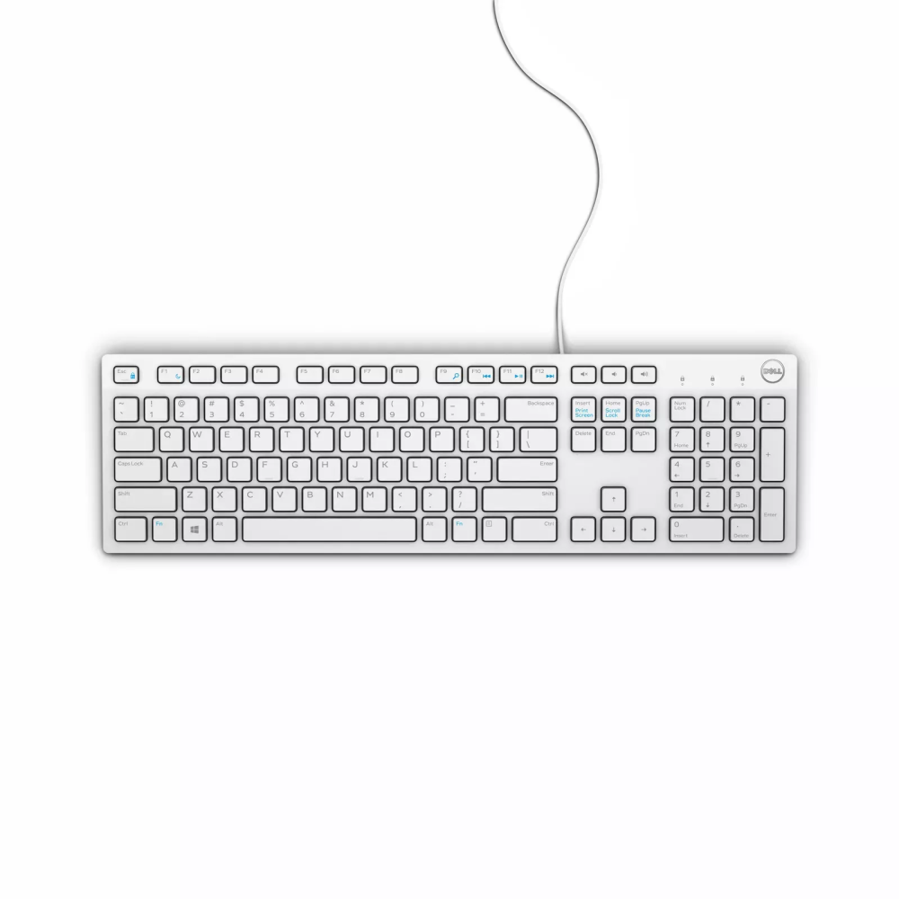 Tastatūra DELL KB216 ENG/WHITE (580-ADGM)