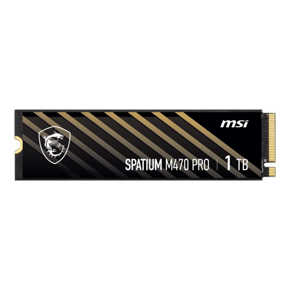 SSD MSI SPATIUM M470 PRO 1TB (S78-440L0J0-P83) - foto 2