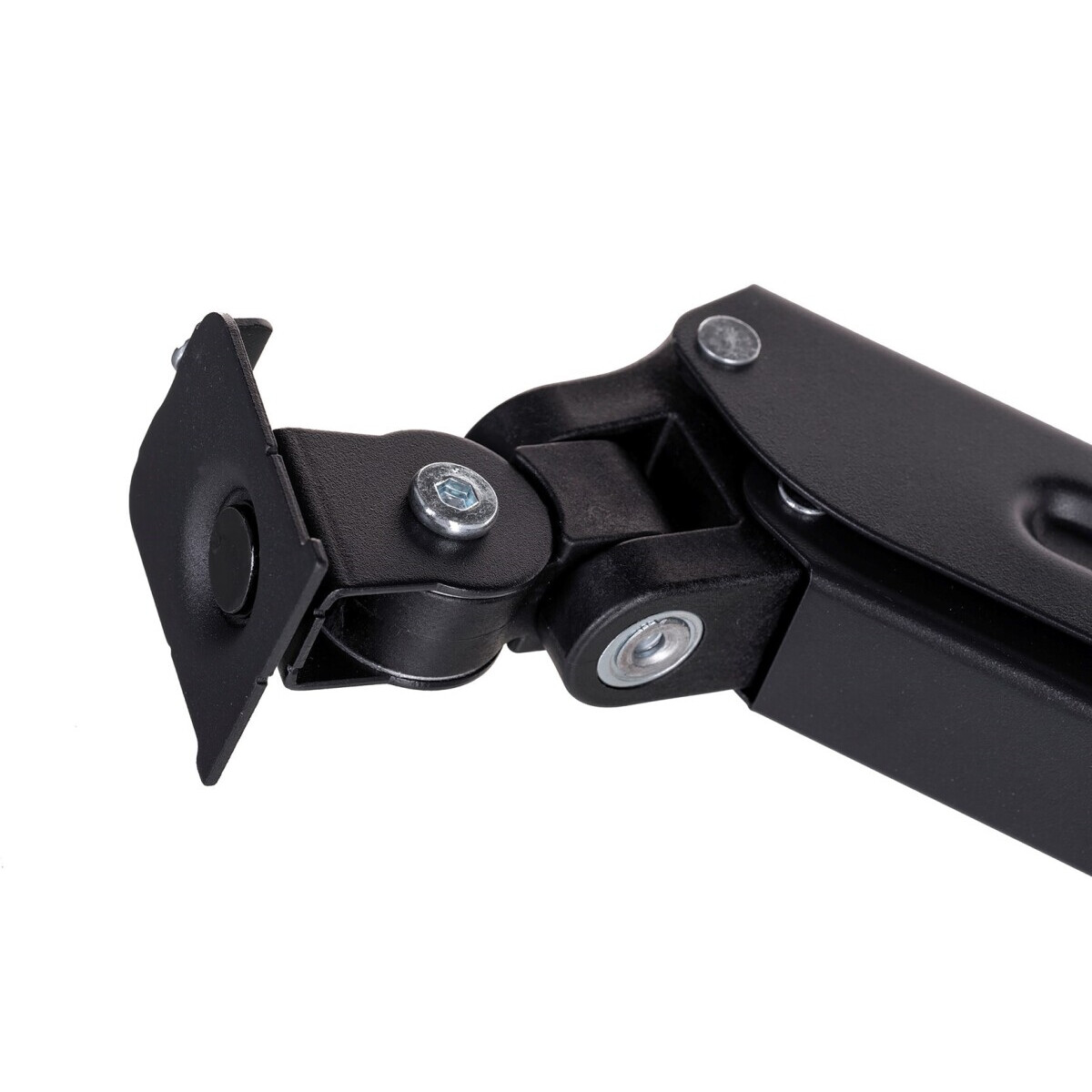 Kronšteins Esperanza ERW019 - foto 5