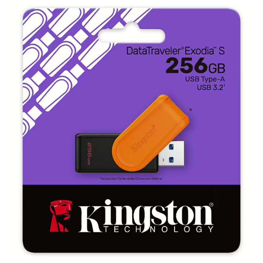 Clé USB KINGSTON DTXS 256GB - DTXS/256GB