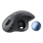 Trekbols Logitech ERGO M575S Black (910-007029) - foto 3