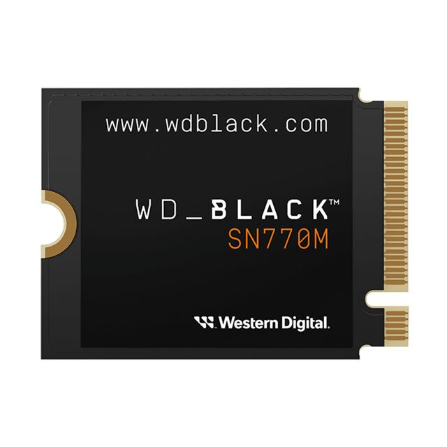 SSD Western Digital SN770M WDBDNH0010BBK-WRSN SSD 1TB Black - WDS100T3X0G-00CHY0