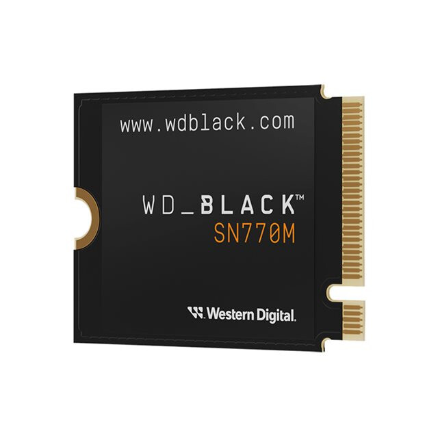 SSD Western Digital SN770M WDBDNH0010BBK-WRSN SSD 1TB Black - WDS100T3X0G-00CHY0 - foto 2
