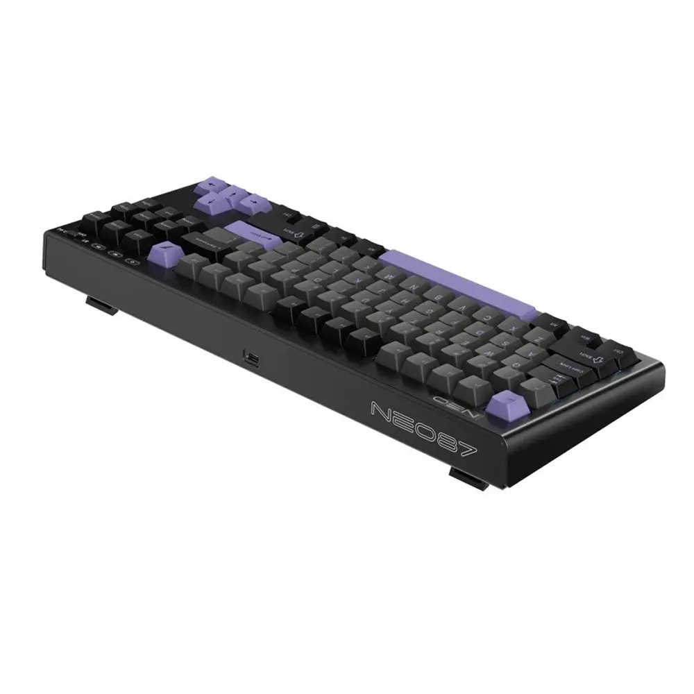 Tastatūra 1stPlayer Neo87 RGB Black/purple (NEO87-MV-TLD-FRA) - foto 3