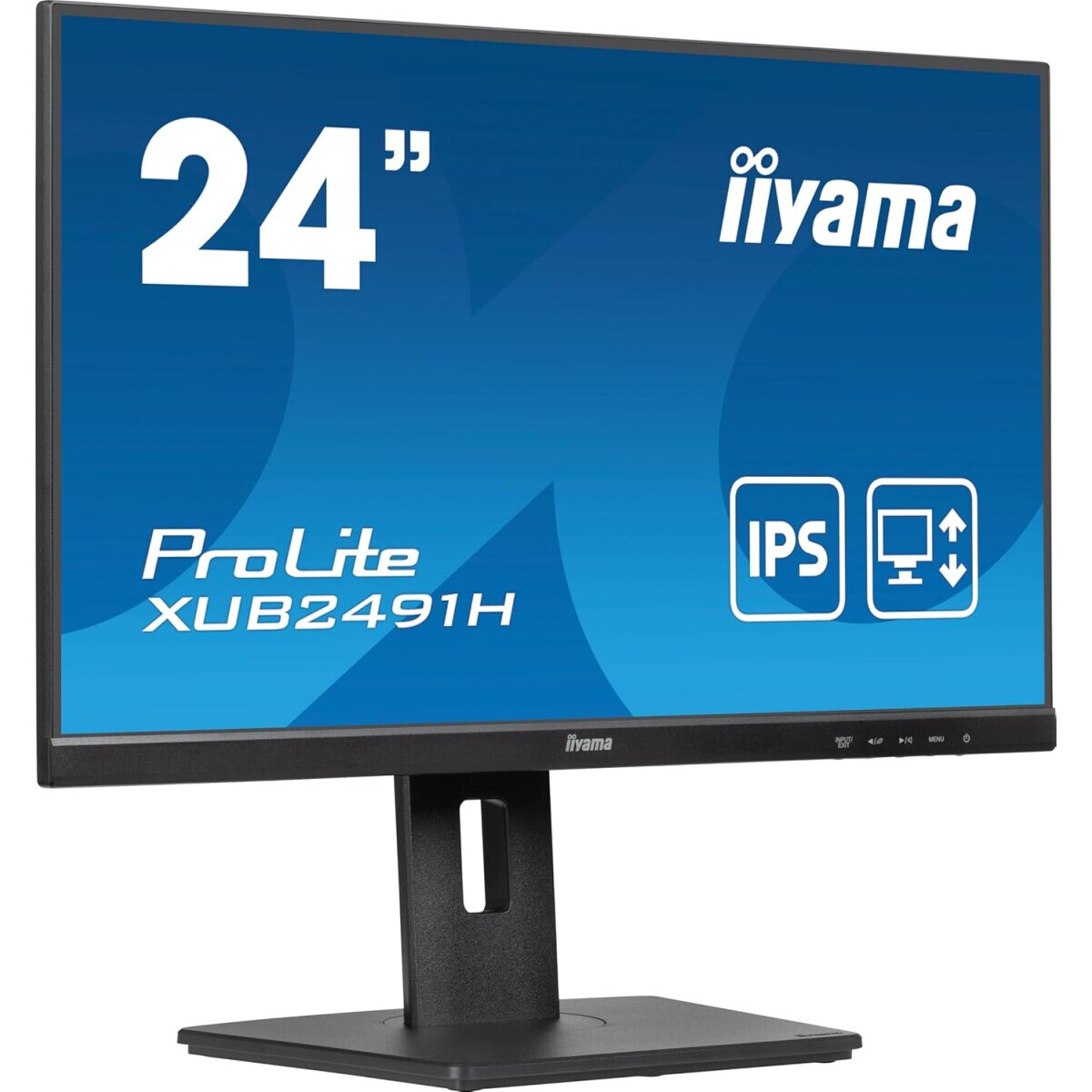 Monitors Iiyama ProLite X2491HS-B1 Black