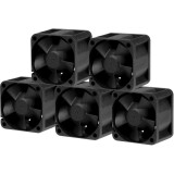 Ventilateur pour boîtier de serveur Arctic S4028-6K, 5 шт. (ACFAN00273A)