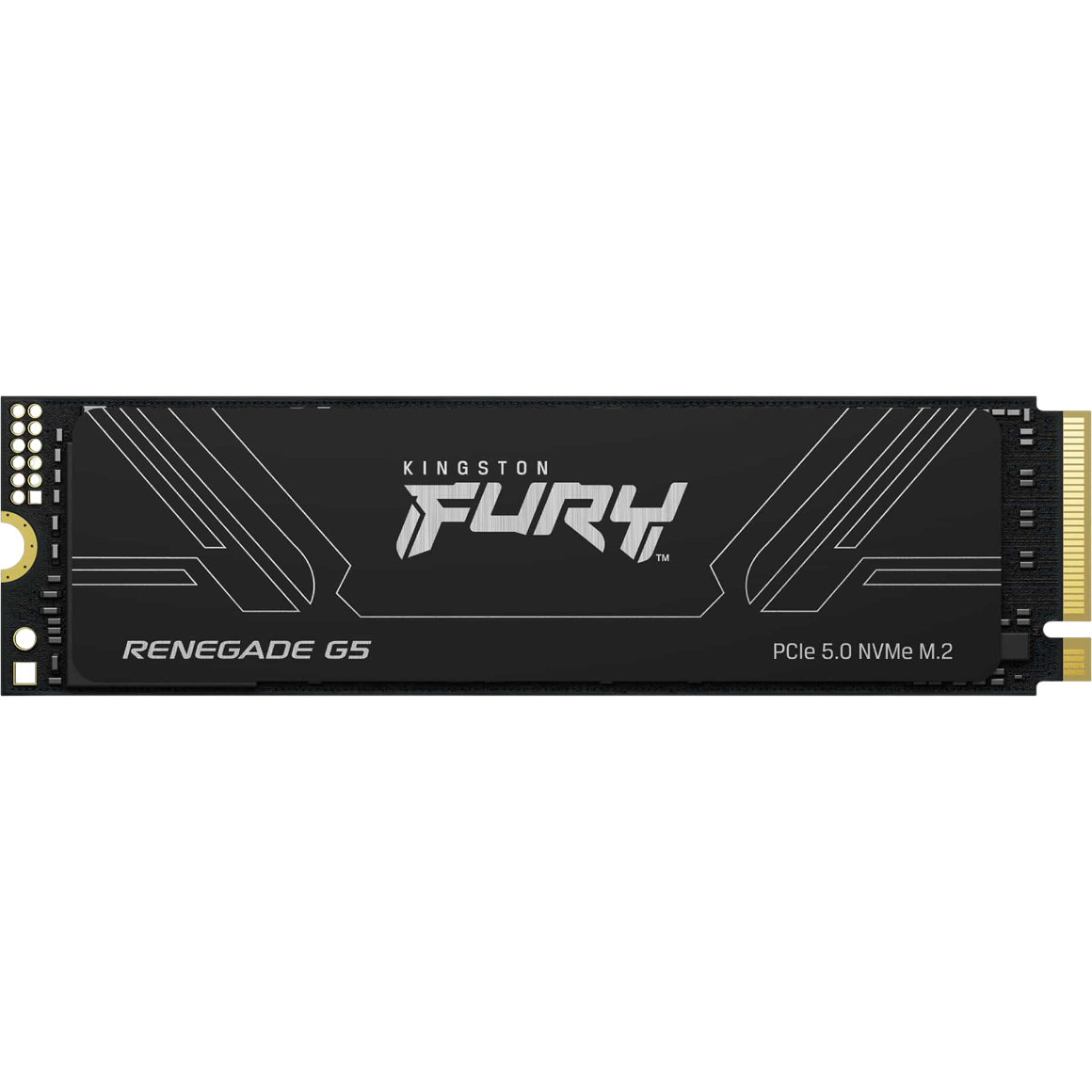 stockage SSD 1TB Kingston FURY Renegade G5 (SFYR2S/1T0) - photo 2