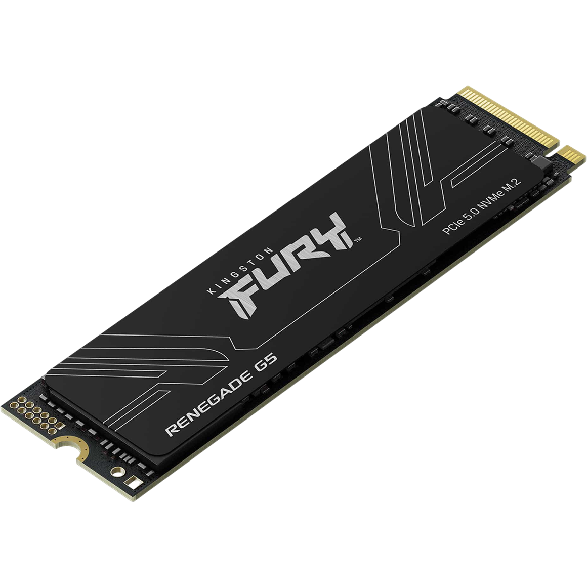 SSD-Speicher 2TB Kingston FURY Renegade G5 (SFYR2S/2T0)