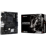 carte mère Biostar A520MHP