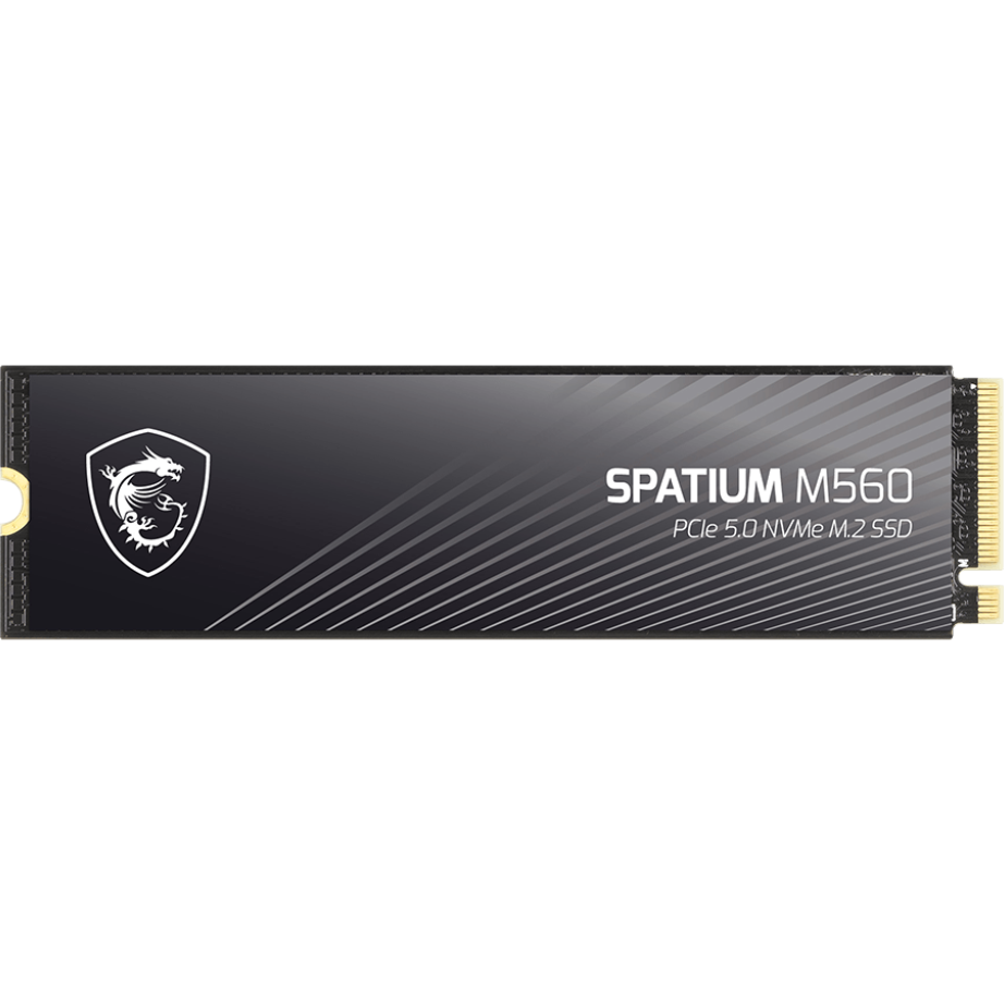 SSD Speicher 2TB MSI SPATIUM M560 (S78-440Q940-P83)