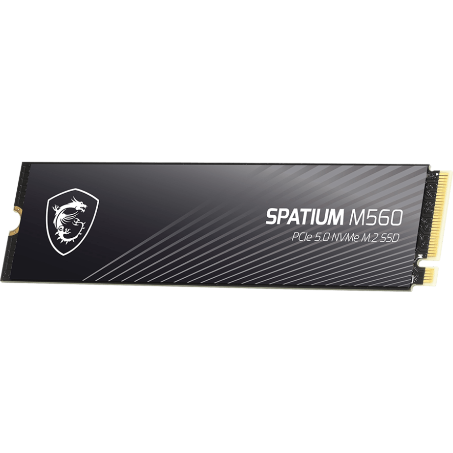 SSD Speicher 2TB MSI SPATIUM M560 (S78-440Q940-P83) - Foto 2