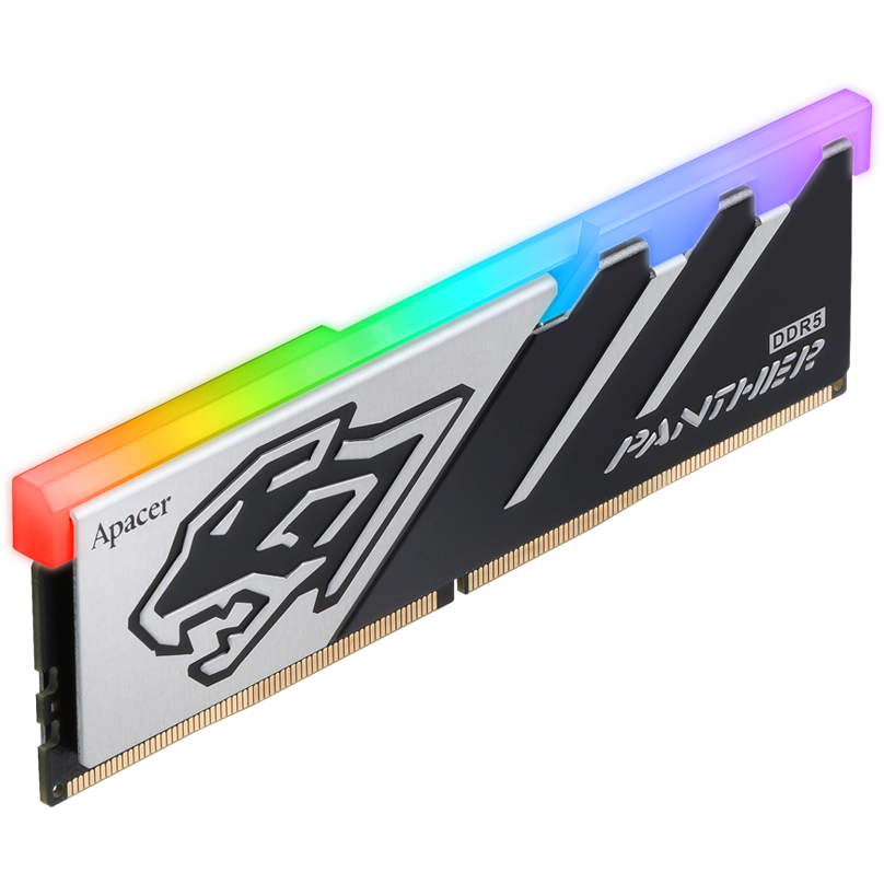 mémoire vive 16GB DDR5 5600MHz Apacer PANTHER RGB (AH5U16G56C5229BAA-1)