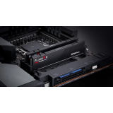 Mémoire vive 32GB DDR5 5600MHz G.Skill Flare X5 (F5-5600J3636C16GX2-FX5) (2x16GB KIT)
