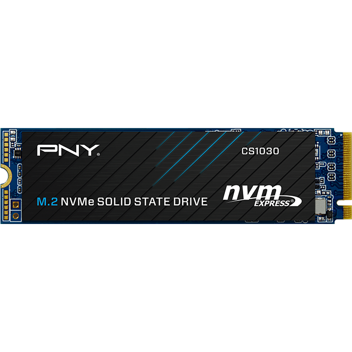 SSD-Speicher 250GB PNY CS1030 (M280CS1030-250-RB)