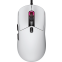 Maus Cougar Minos Neo RGB - CGR-WLMW-MINEO