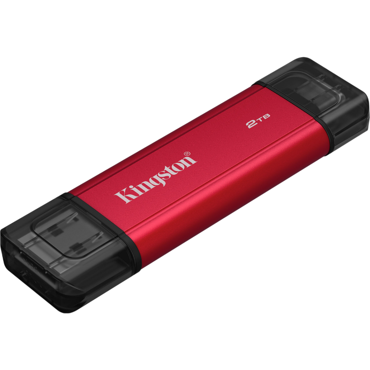 Externer SSD-Speicher 2TB Kingston Dual Portable (SPSD/2TB)