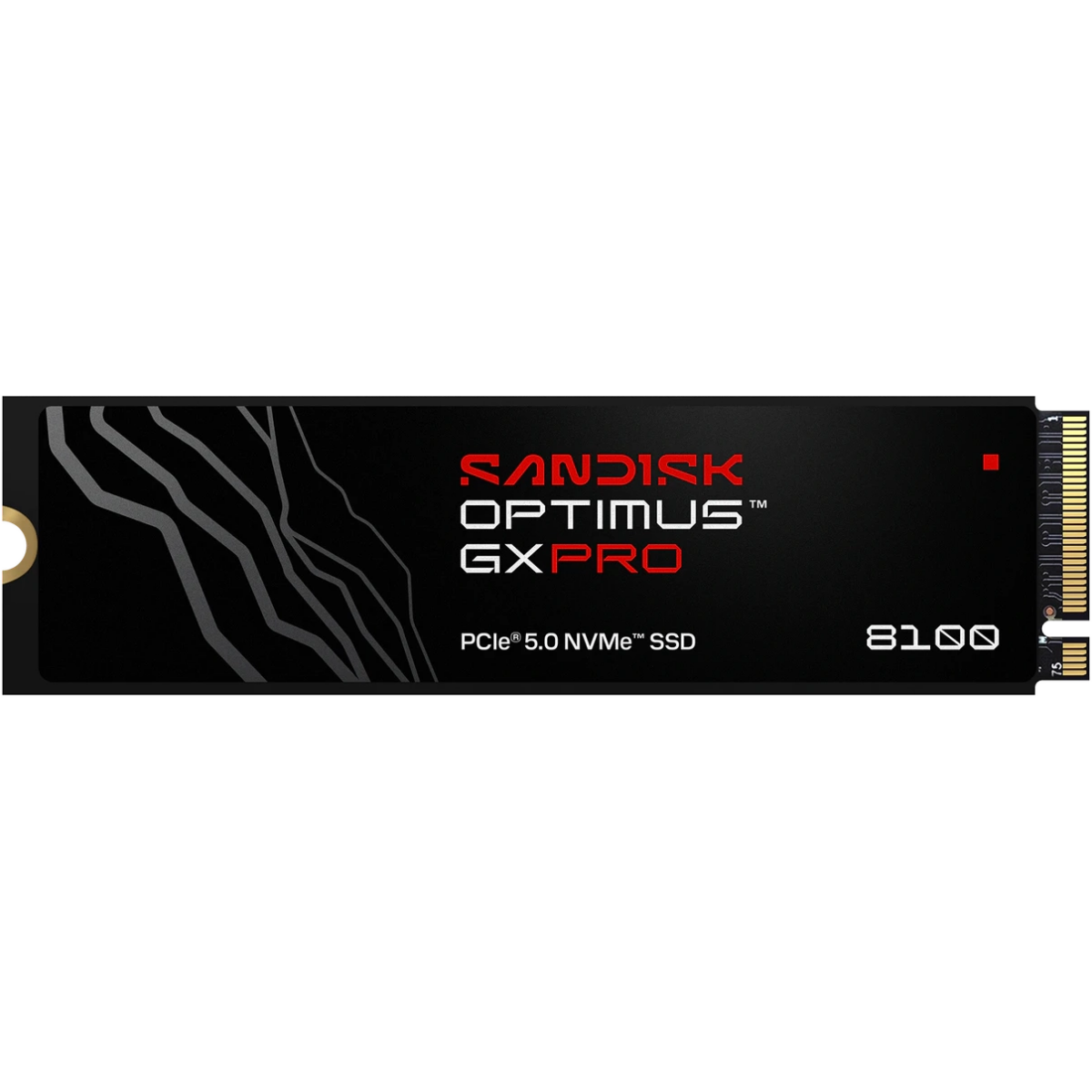 SSD-Speicher 1TB SanDisk Optimus GX PRO 8100 (SDSP82100TAN-000E0)