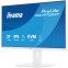 moniteur iiyama 27" ProLite XB2797QSNP-W1 - photo 2